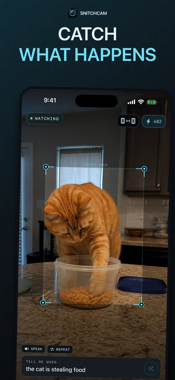 Actual app · Example scene — One very curious cat.